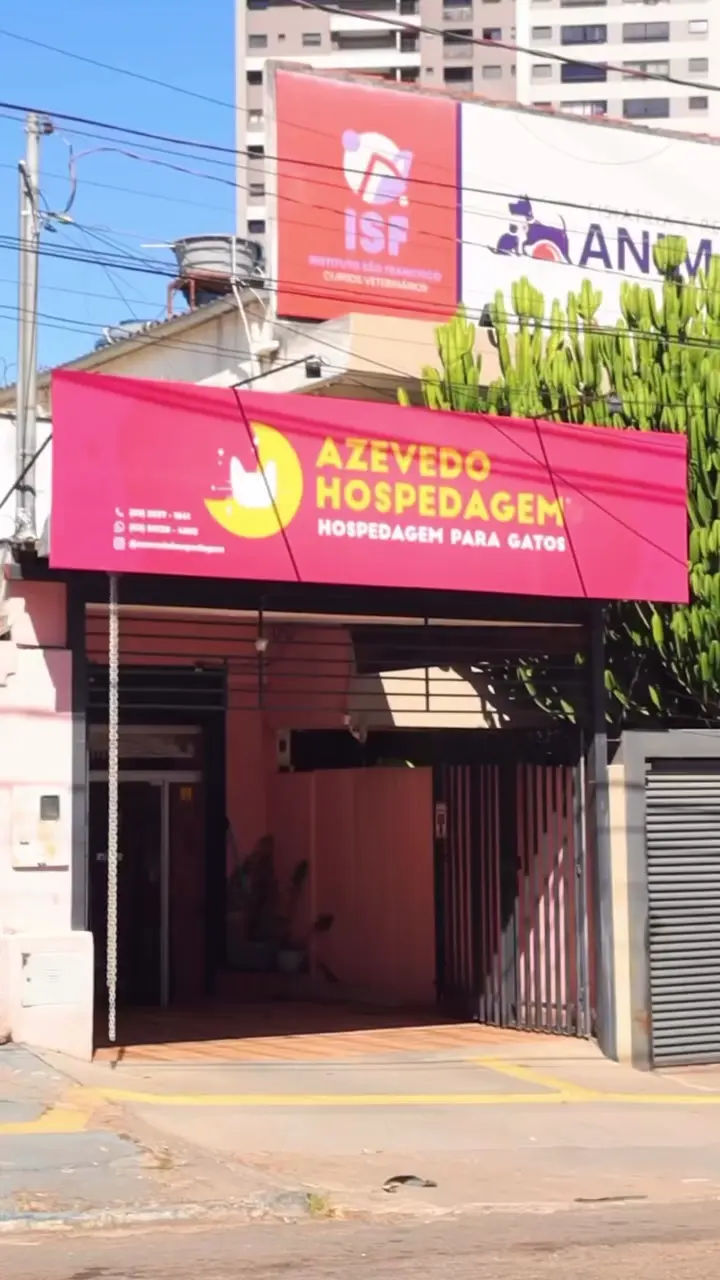 Capa do vídeo com os bastidores do hotel para gatos