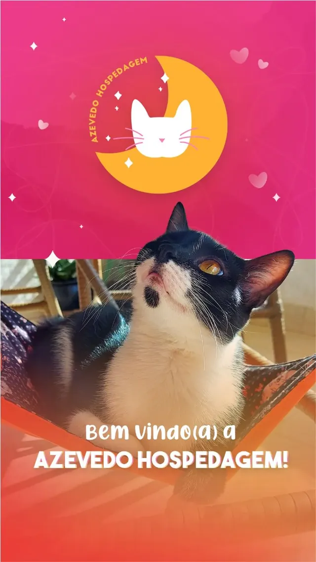 Post de boas-vindas da Azevedo Hospedagem com gato na rede
