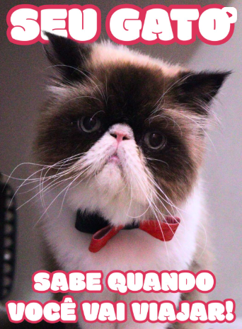 Post: seu gato sabe quando você vai viajar