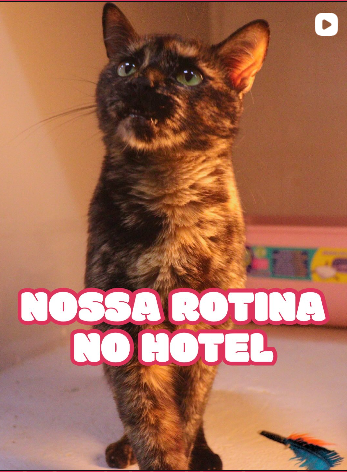 Vídeo mostrando a rotina no hotel