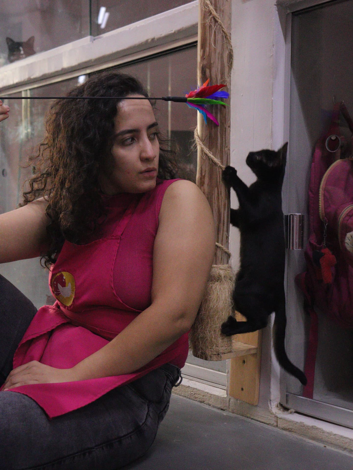 Iara brincando com gatinho preto no ambiente da Azevedo Hospedagem